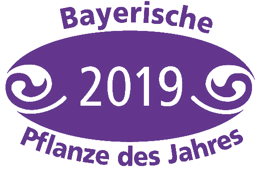 Bayerische Pflanze des Jahres 2018